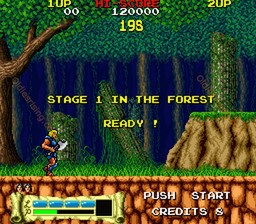 une photo d'Ã©cran de The Astyanax sur Arcade